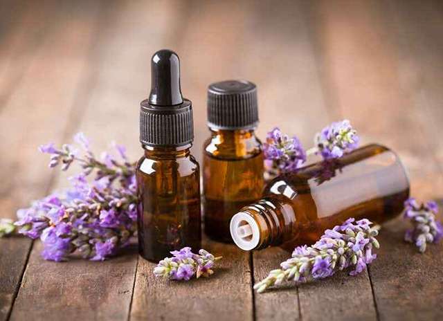 خرید و قیمت گیاهان دارویی معطر + فروش صادراتی